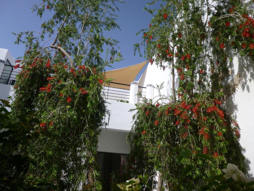 Riad Tchina Marrakesh Exterior photo